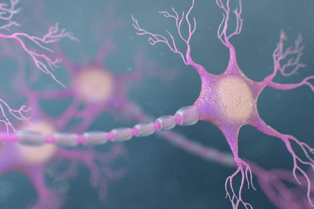 Antimicrobial Resistance in India