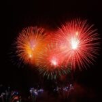 Hindi Call to Help Lions Celebrate Diwali Festival