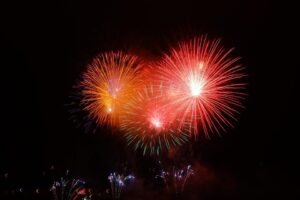 Hindi Call to Help Lions Celebrate Diwali Festival
