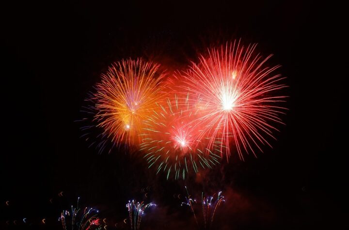 Hindi Call to Help Lions Celebrate Diwali Festival