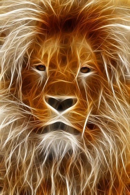 Hindi Call to Help Lions Celebrate Diwali Festival