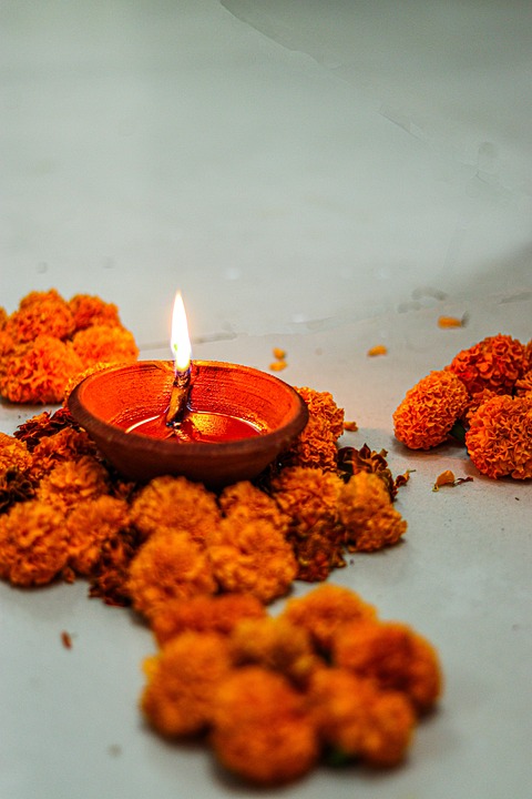 Hindi Call to Help Lions Celebrate Diwali Festival