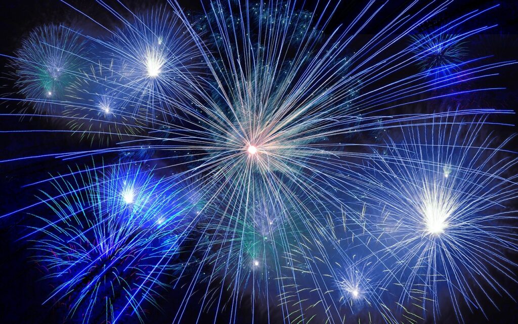 Hindi Call to Help Lions Celebrate Diwali Festival